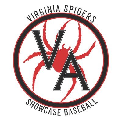 Virginia Spiders